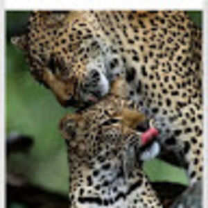 Meet your Posher, Marie